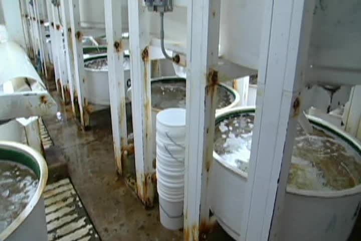 California Bountiful: Show #2641