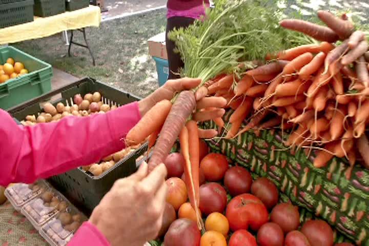 Thumbnail image for California Bountiful: #2664