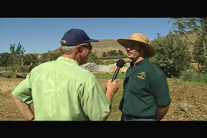 California's Green: Show #122