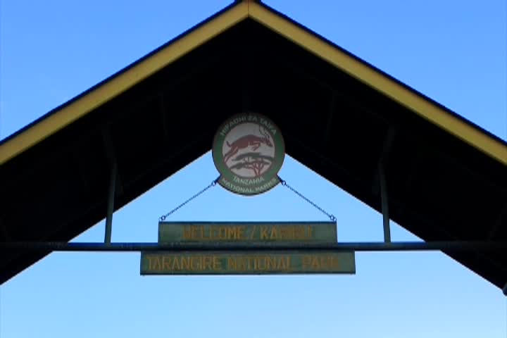 Econews: #3005 "Tarangire Park, Africa"