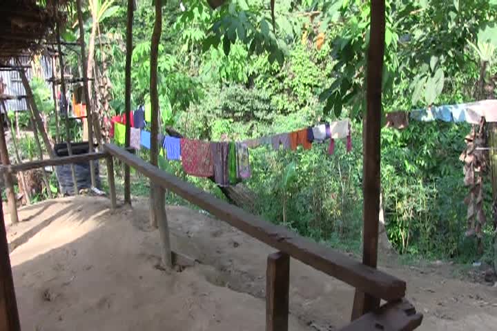 Thumbnail image for Econews: #3103 "Taman Negara Nat'l. Pk., Malaysia"