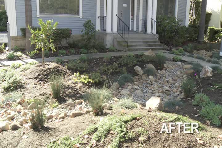 Garden Wise w/Meg West: Show #06