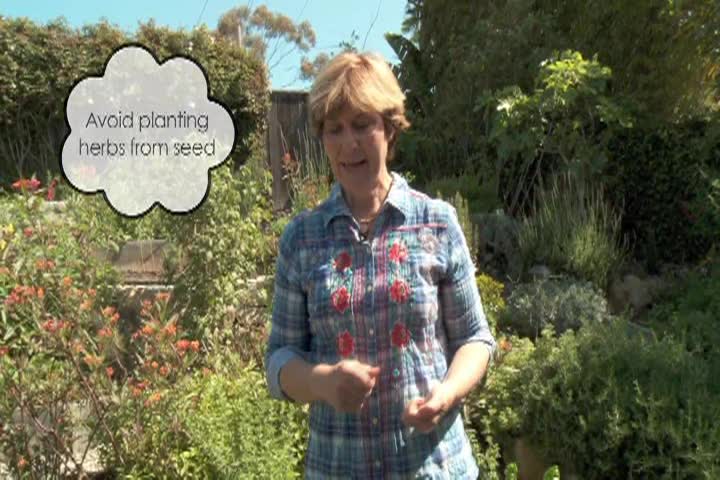 Garden Wise w/Meg West: Show #10