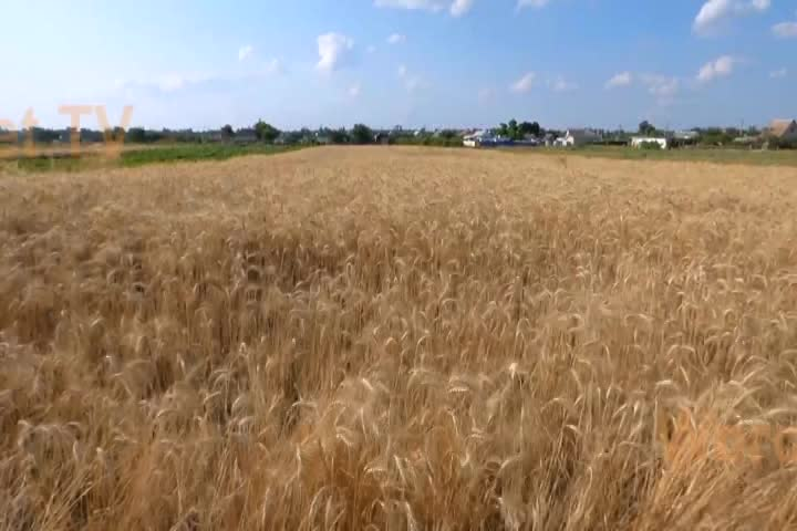 Thumbnail image for I.E. Sports Weekly: October 23 Edition